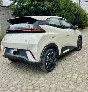 BYD Seagull 2024 Brown