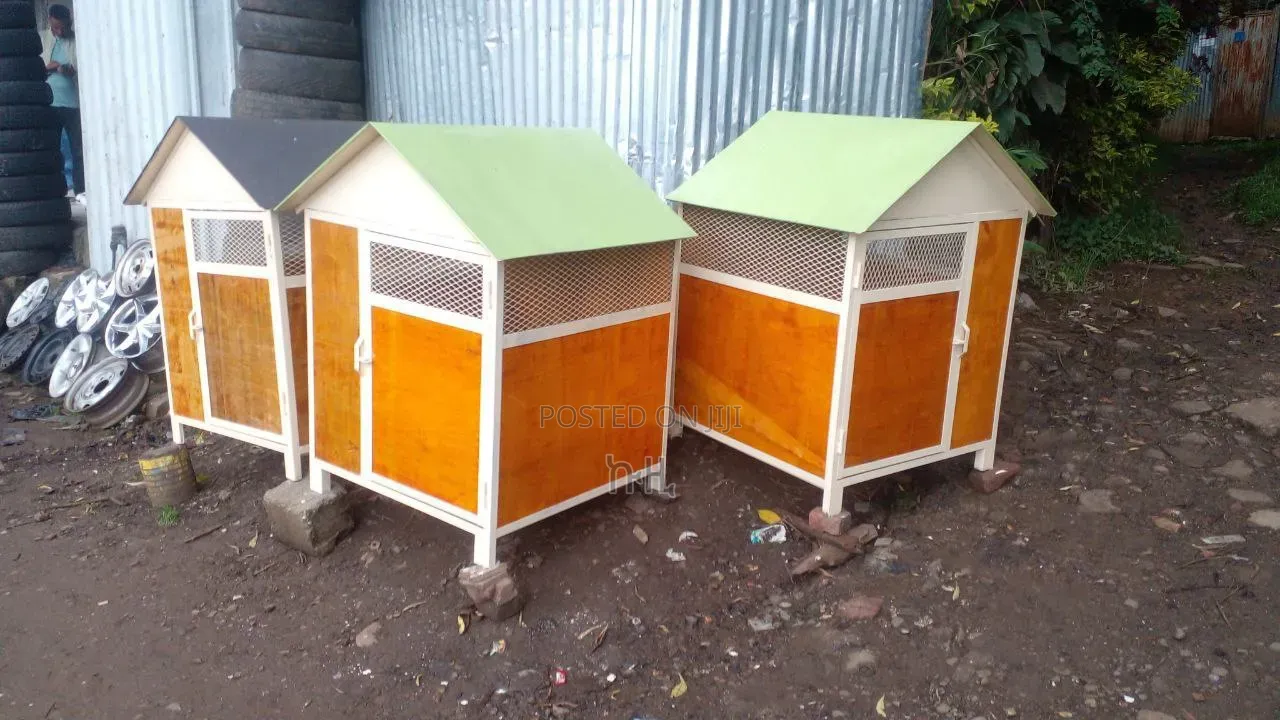 Dog Houses