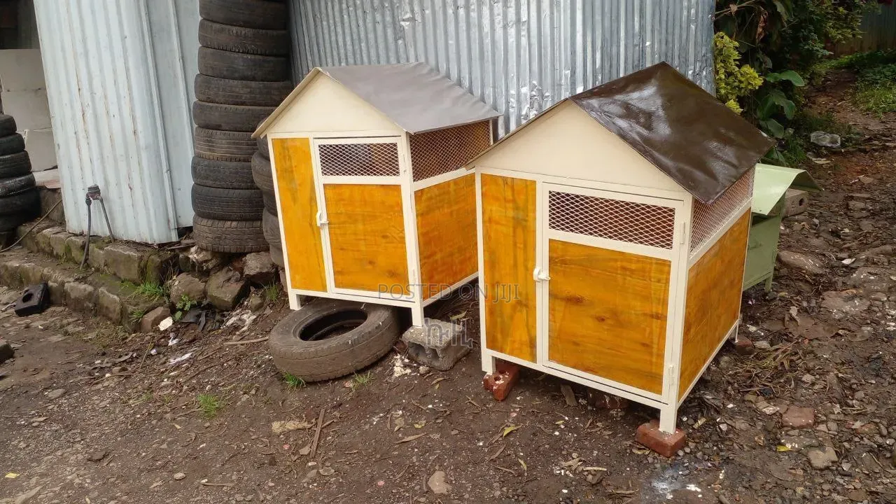 Dog Houses
