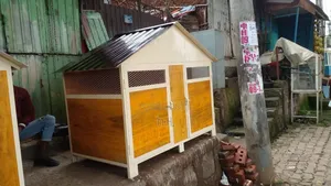 Dog Houses