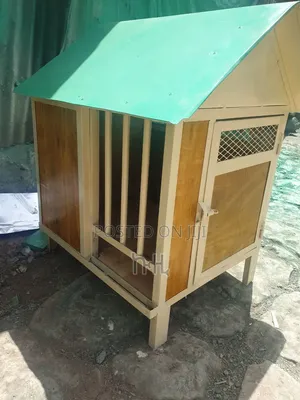 Dog Houses