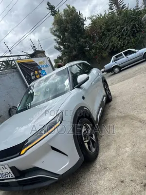 New BYD Song Plus 2025 Gray