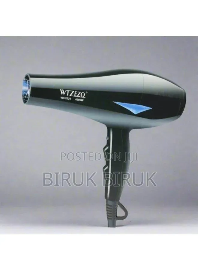 Wtzezo Hair Dryer