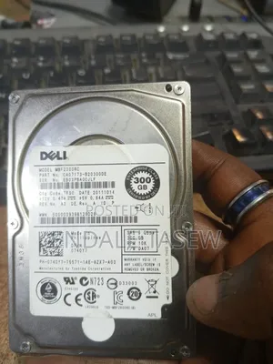 Hard Disk 300 Gb