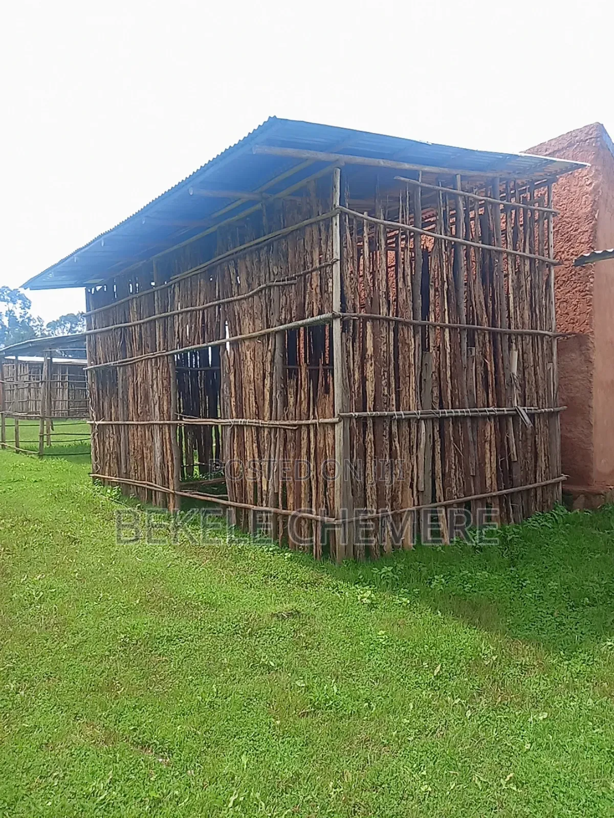 1bdrm House in Holeta, Wolmera, Oromia-Finfinne for sale