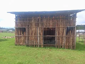 1bdrm House in Holeta, Wolmera, Oromia-Finfinne for sale