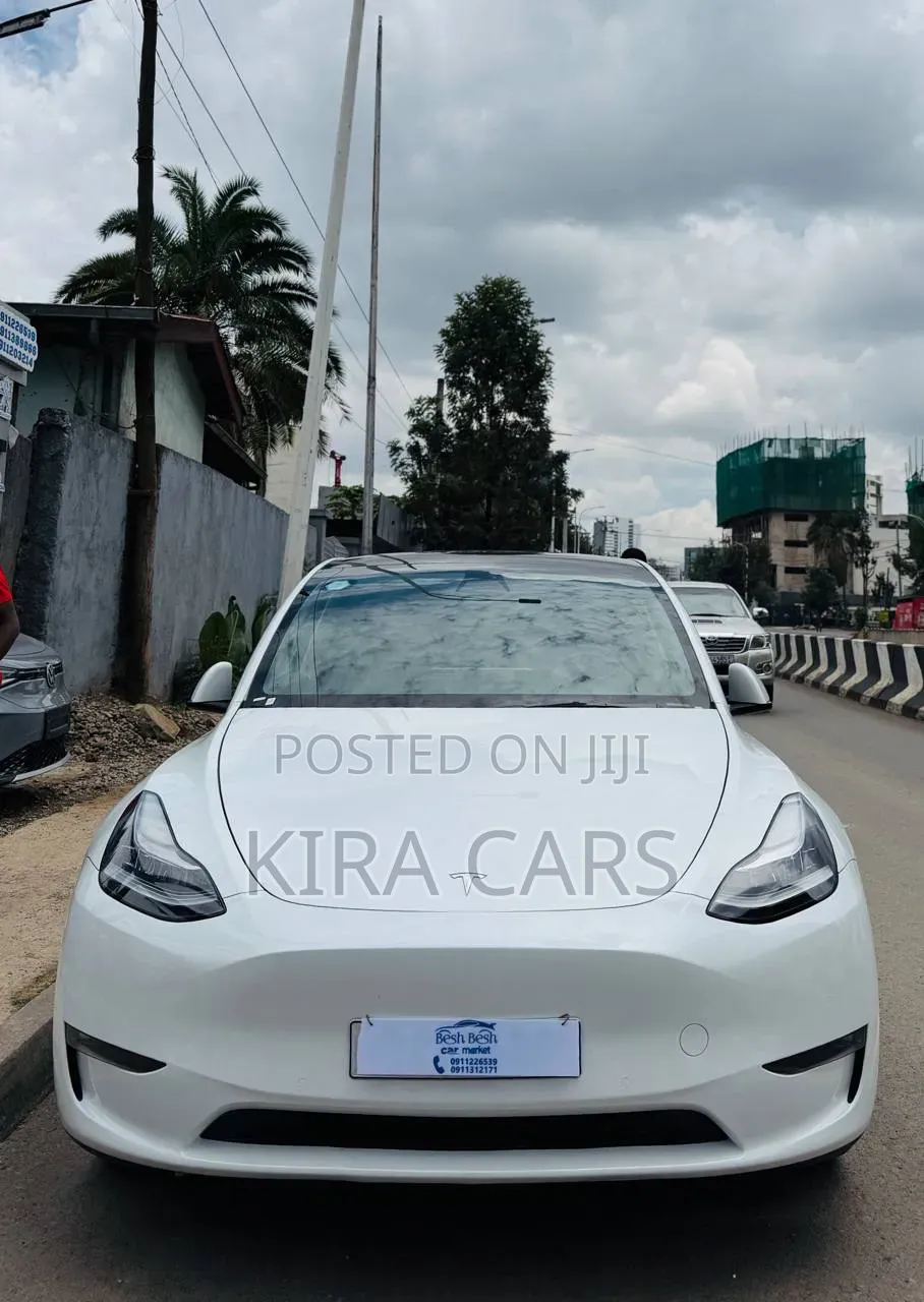 Tesla Model Y 2023 White