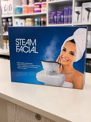 Mini Facial Steamer
