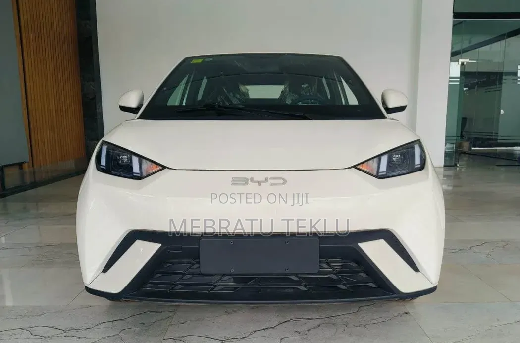 Segull Rent 3000 Perdy