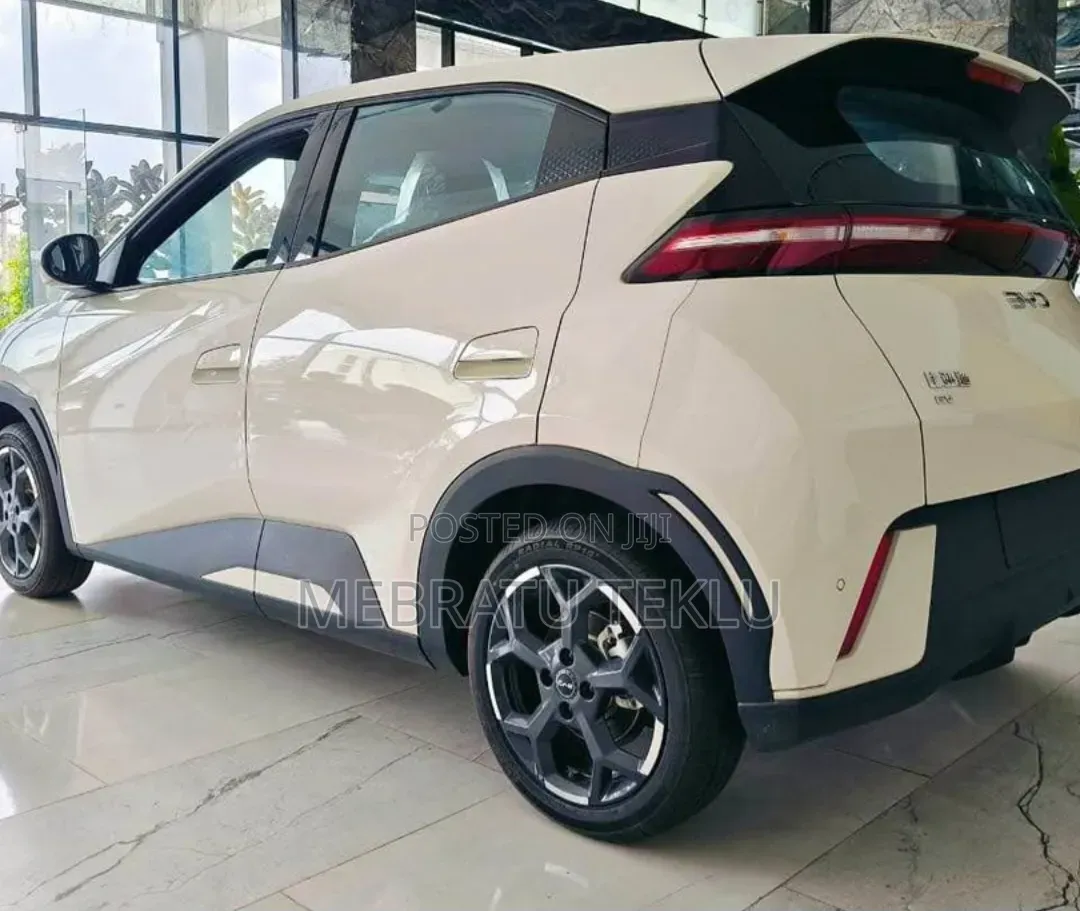 Segull Rent 3000 Perdy