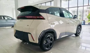 Segull Rent 3000 Perdy