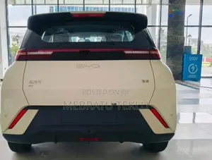 Segull Rent 3000 Perdy