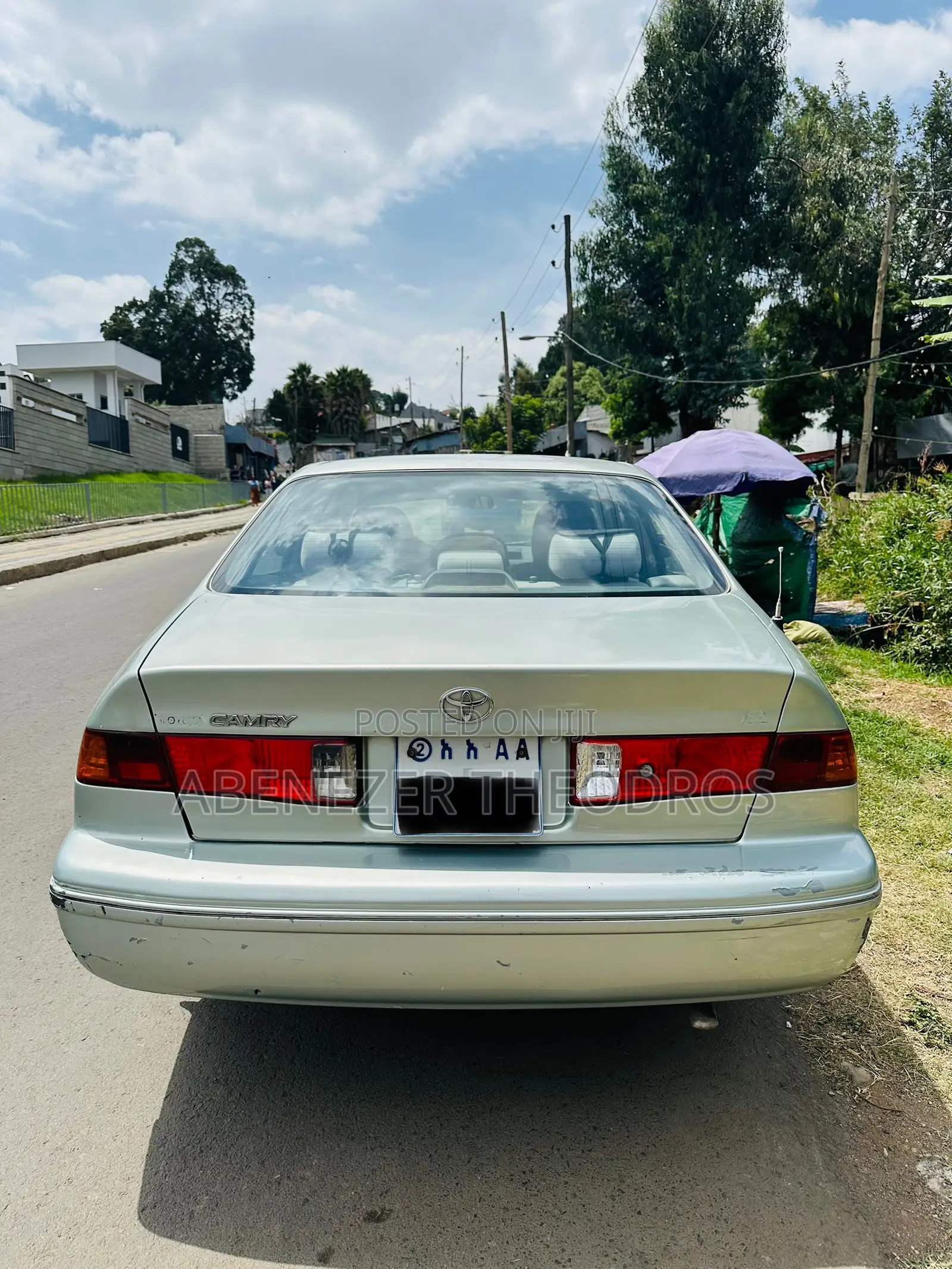 Toyota Camry 2001 Gray