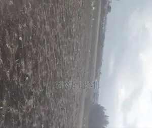 Industrial Land
