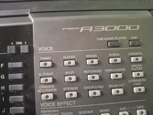 Yamaha Psr A3000