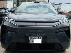 BYD Tang EV 2025 Gray