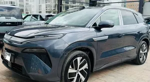 BYD Tang EV 2025 Gray