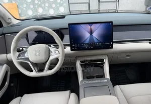 BYD Tang EV 2025 Gray