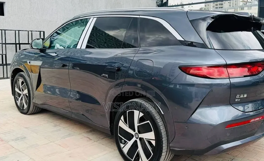 BYD Tang EV 2025 Gray