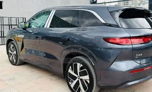 BYD Tang EV 2025 Gray