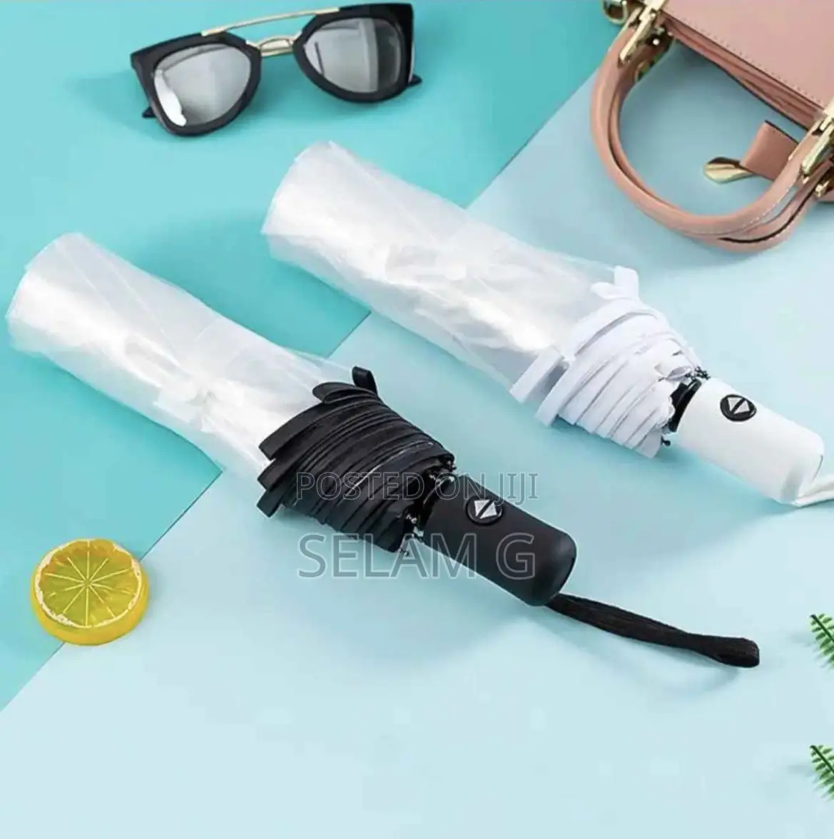 Transparent Umbrella