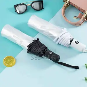 Transparent Umbrella
