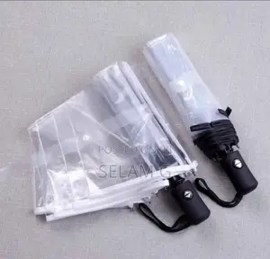 Transparent Umbrella