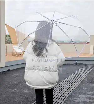 Transparent Umbrella