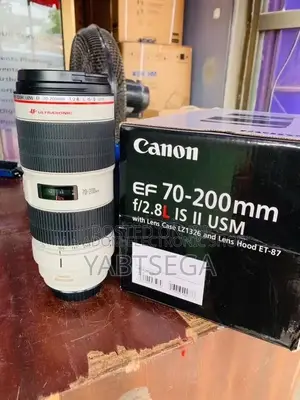 Zebra Lens 70-200 Mark 2