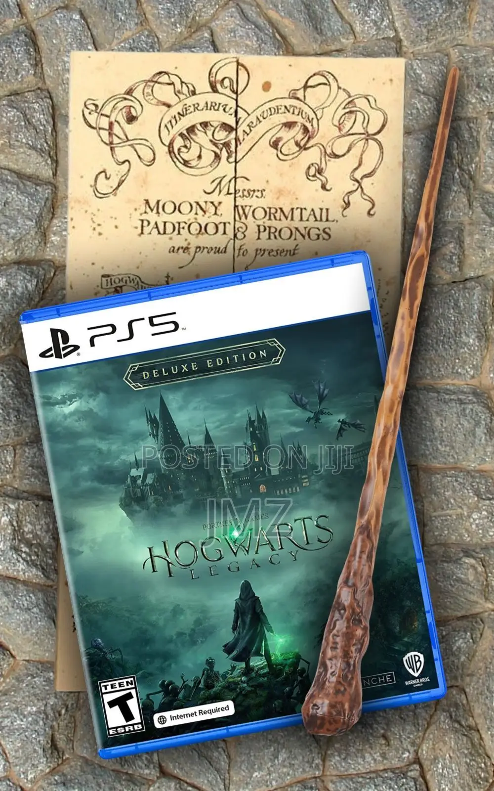 Hogwarts Legacy Ps5 Cd Game