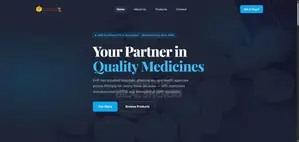 Website Development