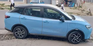 Hozon Neta Aya 2023 Blue