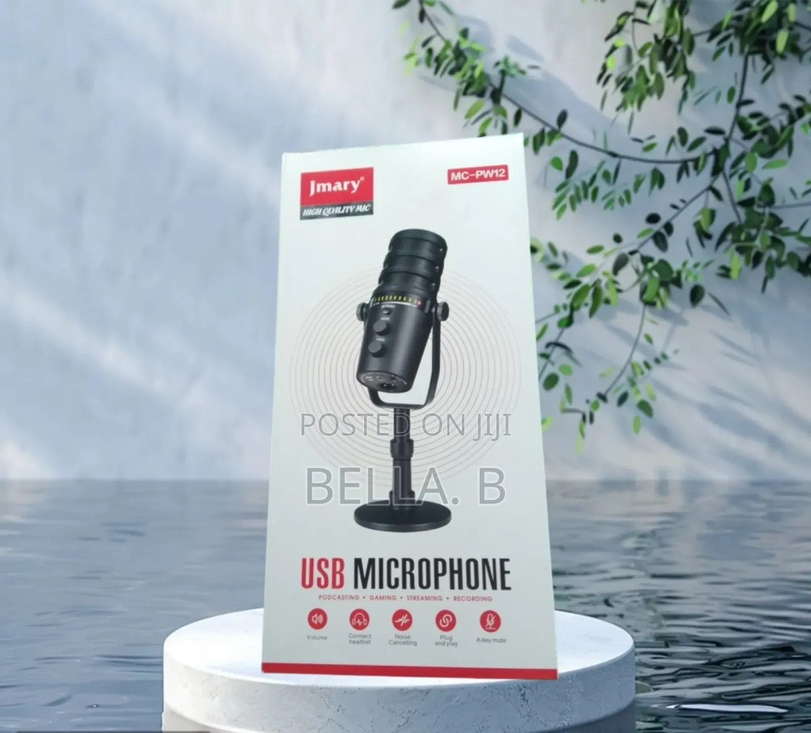 Jmary Mc - Pw12 Microphone: Professional Audio Anywhere