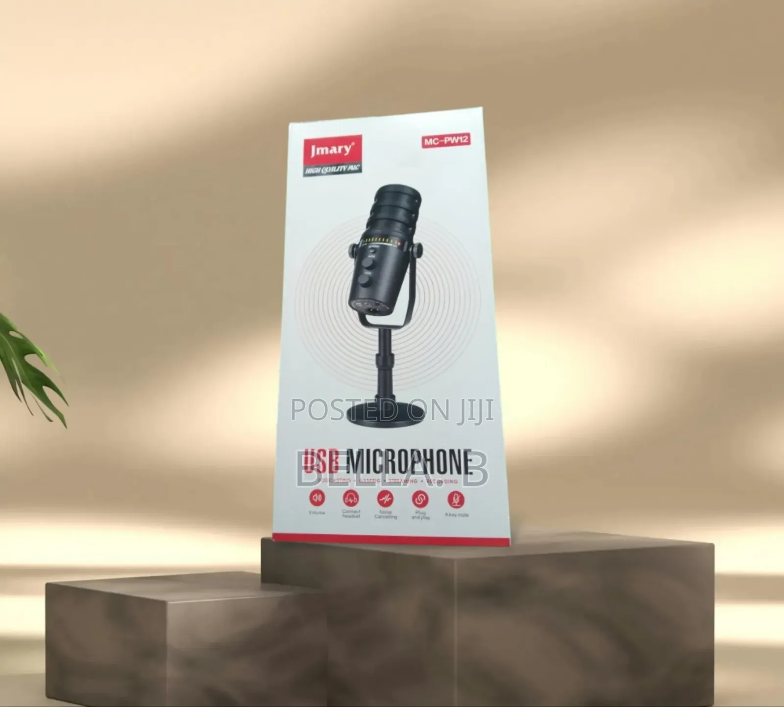 Jmary Mc- Pw12 Microphone: Ideal for Interviews Vlogging.