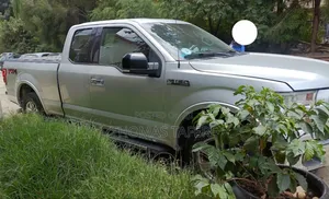 Ford F-150 2016 Silver