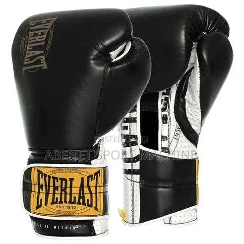 Everlast Boxing Gloves