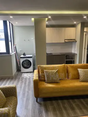 Furnished 1bdrm Apartment in Bole for rent