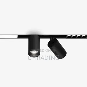Magnetic Track Light