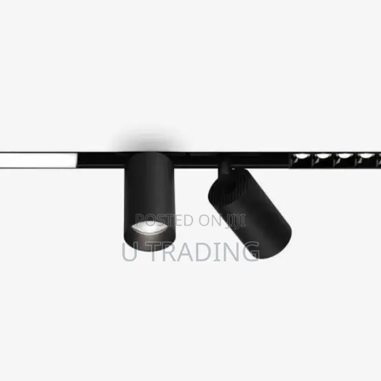 Magnetic Track Light