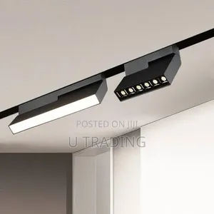 Magnetic Track Light