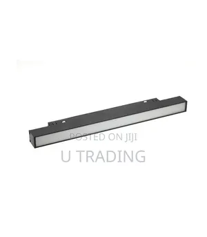 Magnetic Track Light