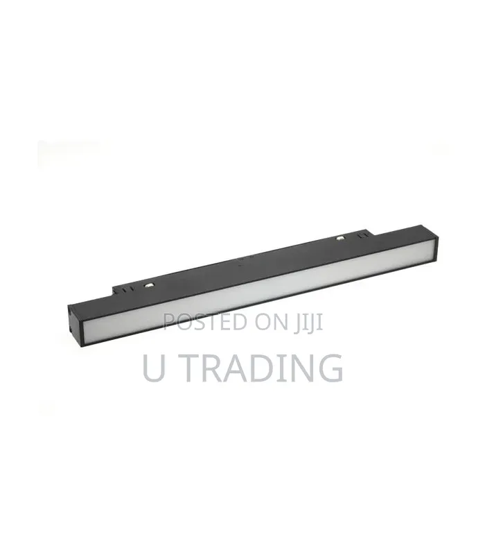 Magnetic Track Light