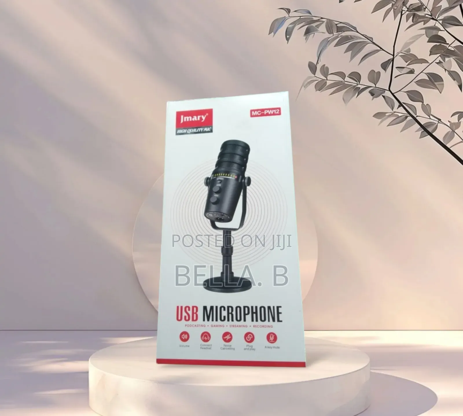 Jmary Mc- Pw13 Microphone : High Sensitivity Audio Capture.
