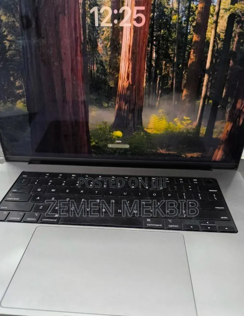 New Laptop Apple MacBook Pro M1 32GB Apple M1 Pro SSD 1T