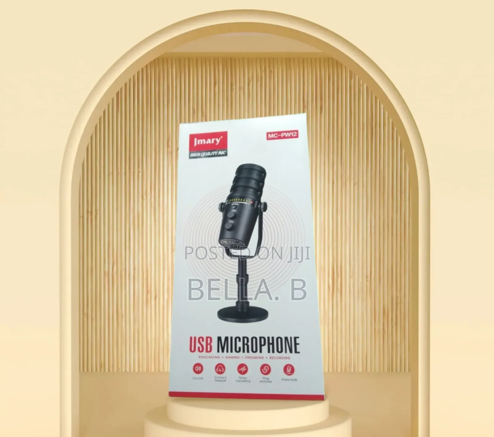 Jmary Mc - Np12 Microphone : Record Like a Pro.