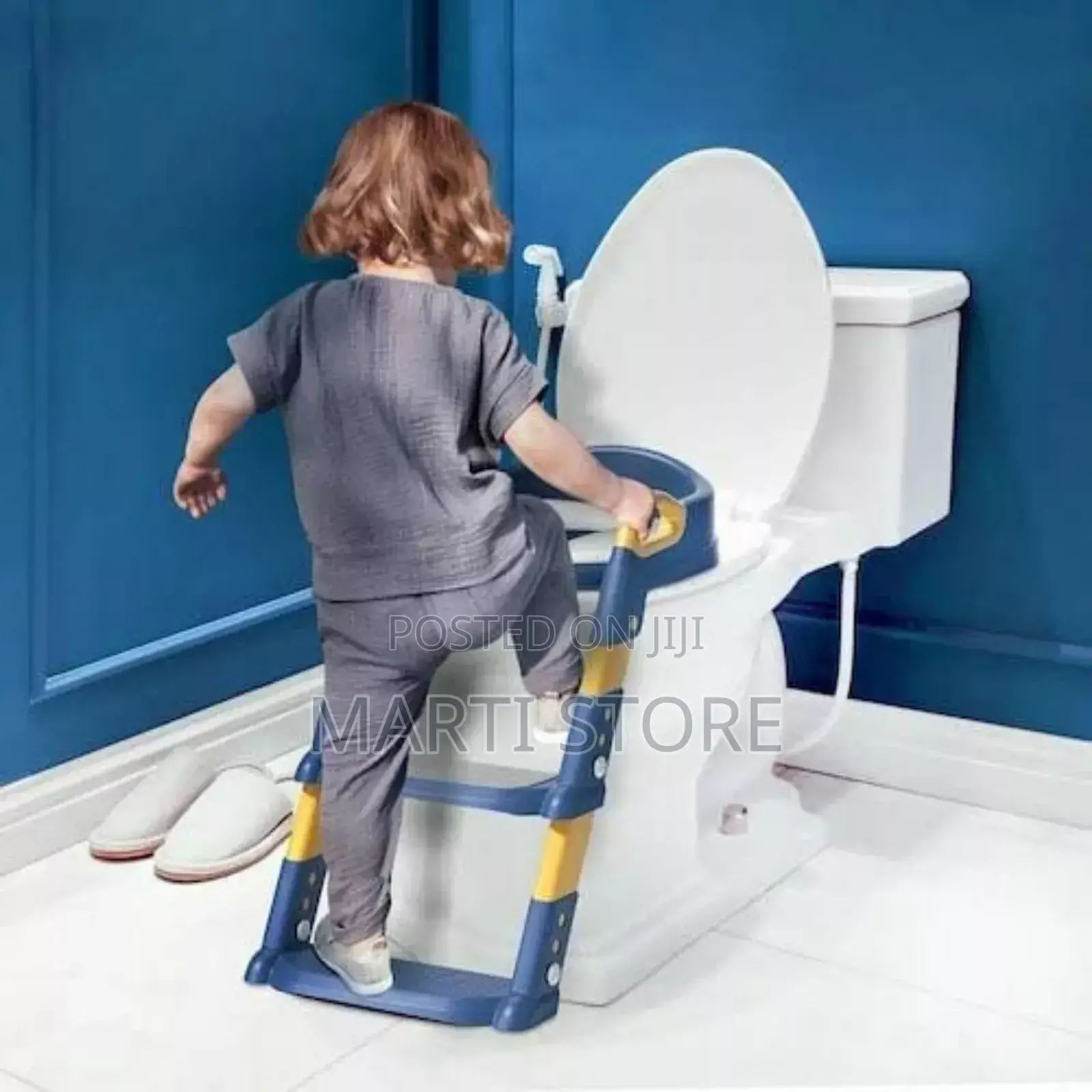Toddler Potty Training Toilet Seat