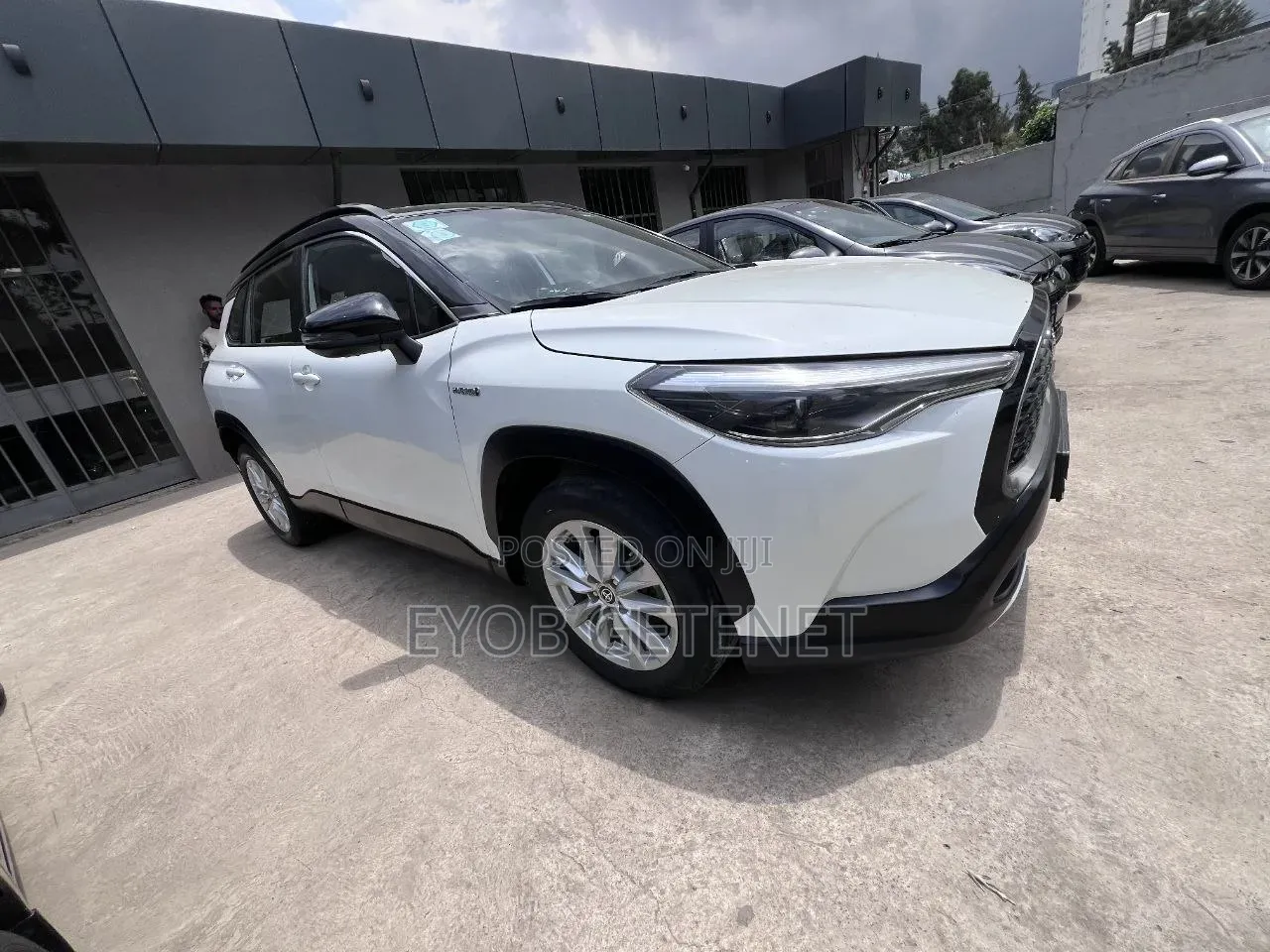 New Toyota Corolla Cross Hybrid 2023 White