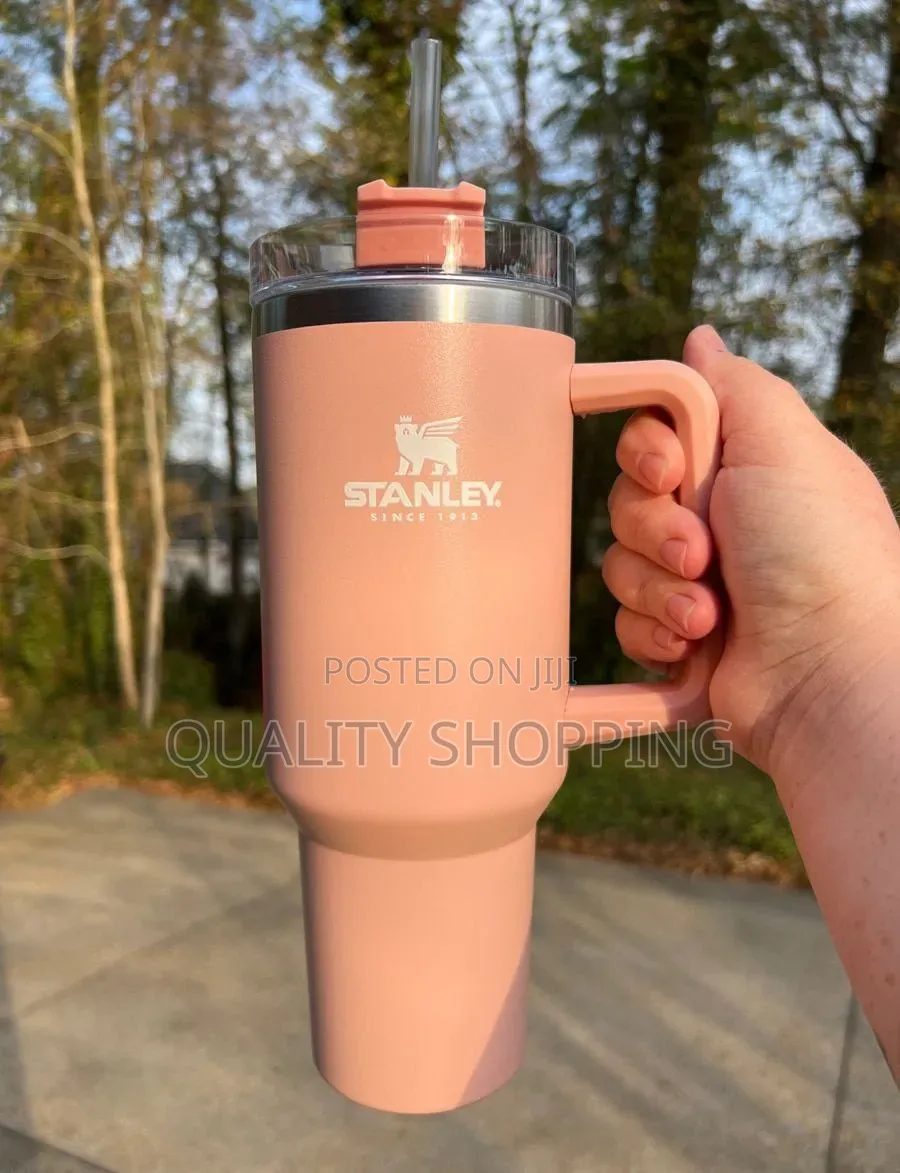 Stanley Mugs With Straw