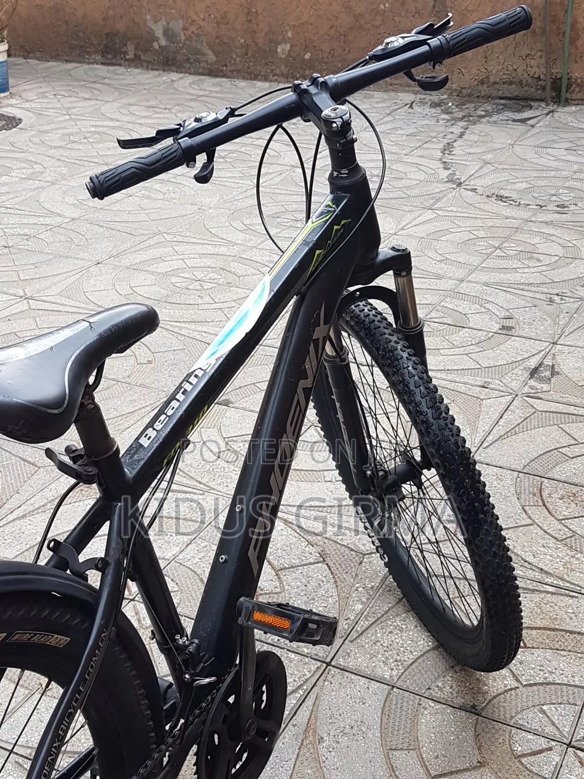 Phoenix Fd-310 Mountain Bike Black
