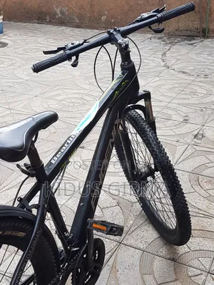Phoenix Fd-310 Mountain Bike Black